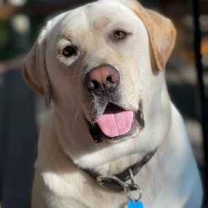 Meet your Posher, Cathy